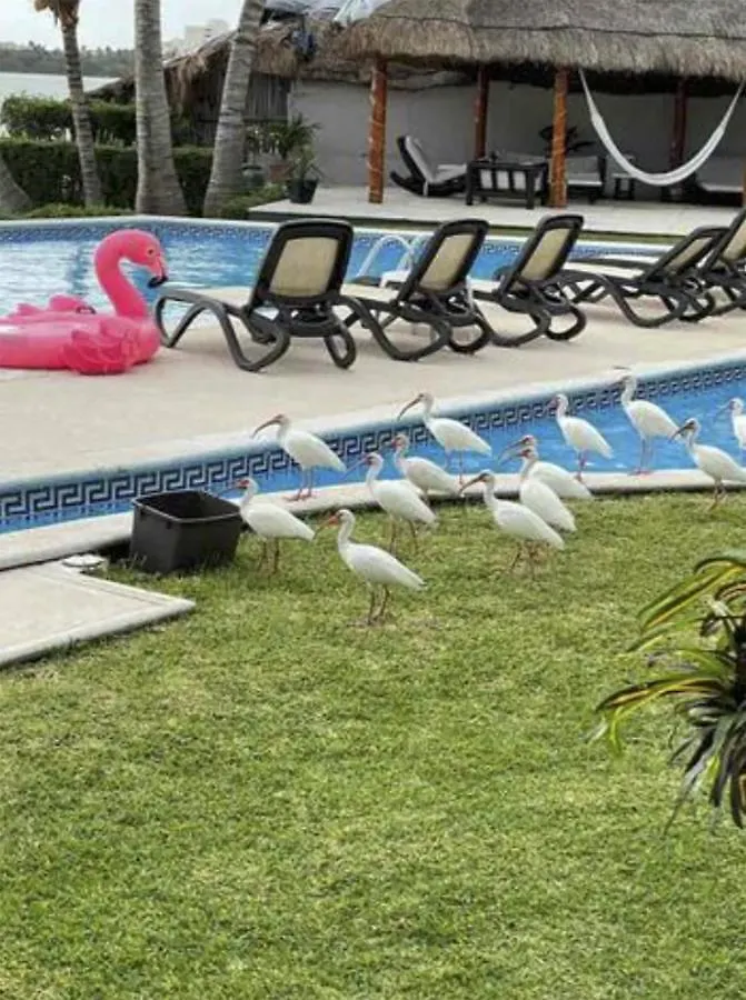 Villas La Marina Cancun 0*,  Meksika